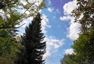 Blick aus dem Liegestuhl