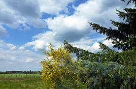 Blick ber den Zaun